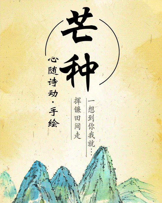 心随诗动手绘丨芒种一想到你我就挥镰田间走